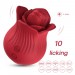 Вибростимулятор для женщин Rose Romance Blow Nub Red Cnt