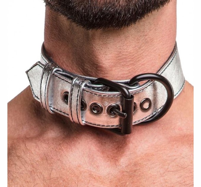 Серебристый ошейник Lovetoy Bondage Fetish Metallic Pup Collar With Leash