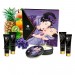 Подарочный набор Shunga GEISHAS SECRETS Exotic Fruits SO7823