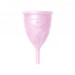 Купить менструальную чашу Femintimate Eve Cup размер L Розовый