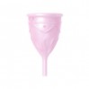 Купить менструальную чашу Femintimate Eve Cup размер L Розовый
