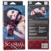 Кляп California Exotic Novelties Scandal Bar Gag  Красный с черным