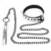 Серебристый ошейник Lovetoy Bondage Fetish Metallic Pup Collar With Leash