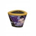 Массажная свеча Shunga MASSAGE CANDLE - Exotic Fruits 170 мл SO2512