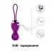 Вагинальные шарики с вибрацией и дистанционным управлением USB Fox