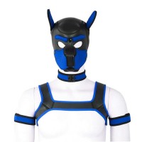 Комплект для игры в раба Dog Bondage Gear Kit Blue Bdsm4u