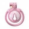 Мужской пояс верности 3D Mini Chastity Cage ZX-1Z Flat Ring Arc-shaped ring Pink Bdsm4u