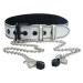 Ошейник серебристый с зажимами для сосков Lovetoy Collar With Nipple Clamp