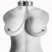 Ошейник серебристый с зажимами для сосков Lovetoy Collar With Nipple Clamp