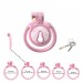 Мужской пояс верности 3D Mini Chastity Cage ZX-1Z Flat Ring Arc-shaped ring Pink Bdsm4u