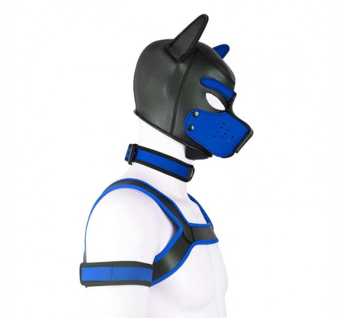 Комплект для игры в раба Dog Bondage Gear Kit Blue Bdsm4u