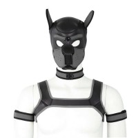 Комплект для игры в раба Dog Bondage Gear Kit Gray Bdsm4u
